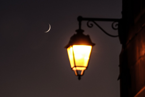 Traitement punaises de lit Lunel